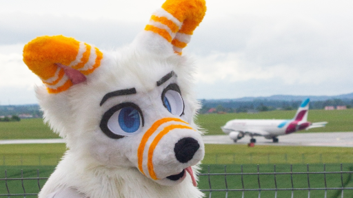 Blizzard's place Discord server banner