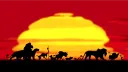 Simba pik banner