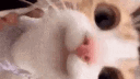 /work banner