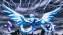 Polar ☾ banner