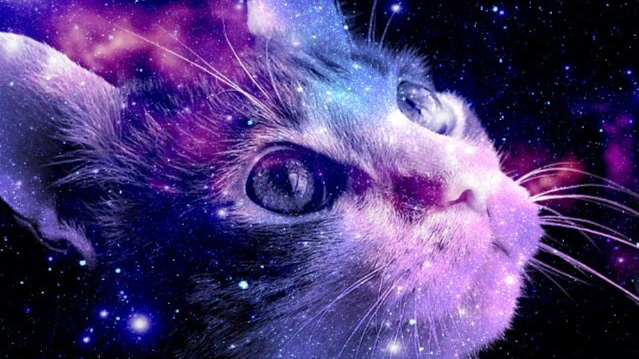 planet; yume! ✧˖° Discord server banner