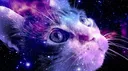 planet; yume! ✧˖° Discord server banner