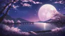 Lunαriα ☾⋆⁺ ᴄʜɪʟʟ ᴄʜᴀᴛᴛɪɴɢ .𖥔 banner