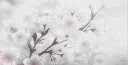 ✮ cool server ✮ Discord server banner