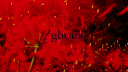 /ghouls banner