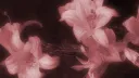 ๐ป๐๐ ๐ญ๐๐๐๐๐ ๐จ๐๐๐๐๐ banner