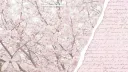 bleed banner