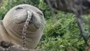 ennui Discord server banner
