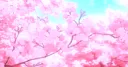 𝓢𝓮𝓲𝓴𝓪 🌺 #𝟐𝐤𝟐𝟓 banner