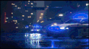 PD RP Zone banner