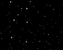 🌿│𝗔𝗦𝗛 𝗦𝗘𝗥𝗩𝗘𝗥 banner