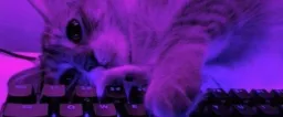 🎀 ᴛʜᴇ ᴄʜᴀᴏꜱ ᴄᴏʀɴᴇʀ 🎀 server banner