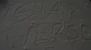 /S𝓽𝖺r 𝓥er𝚜𝚎 🦈🫧 Discord server banner