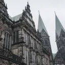 Янтарный город — 2019 || TRP banner