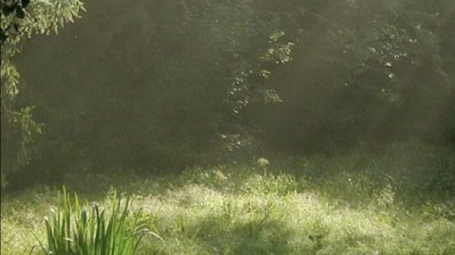 When The Stars Wake Discord server banner