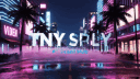 TNY SPLY server banner