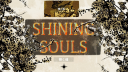 ✩‧+ ̊ shining souls ✧.* ⋆ banner