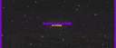 𝗦𝗛𝗔𝗗𝗬𝗖𝗔𝗧 𝗦𝗧𝗢𝗥𝗘 banner