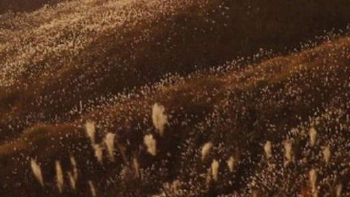 𝔢 𝔨𝔯𝔢𝔣𝔦 † Discord server banner