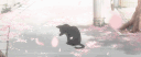 ˚₊‧꒰ა Doves ♱ Cage ໒꒱ ‧₊˚ Discord server banner