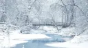 NagomiㆍMental HealthㆍPrideㆍAnime Discord server banner