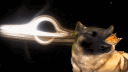GAG.E | unlimited stocks banner