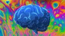 Socializing Hub Discord server banner