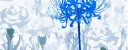 /kagune Discord server banner