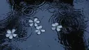 Warriors: New Beginnings Discord server banner