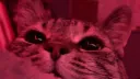 Strayᶻ 𝗓 𐰁 Discord server banner