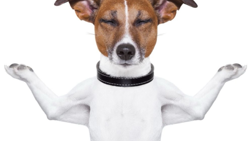 verum Discord server banner