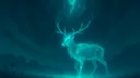 🕊 X Manor ⁿ banner