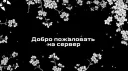 Чсвшники banner