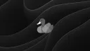 Ducky Cloud banner