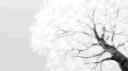 FOG | COMPETITIVE | FIAS banner