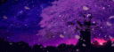 WELLHUCK banner