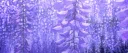 ✧『 𝙺𝙽𝚈 : 𝙷𝚎𝚊𝚛𝚝 𝚘𝚏 𝙾𝚛𝚘𝚌𝚑𝚒』✧ server banner