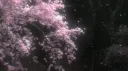 Witchcraft: Legacy banner