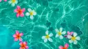 🐠 𓏲 UNR3AL ♡ ₊ ˚ ⊹ ˖ Discord server banner