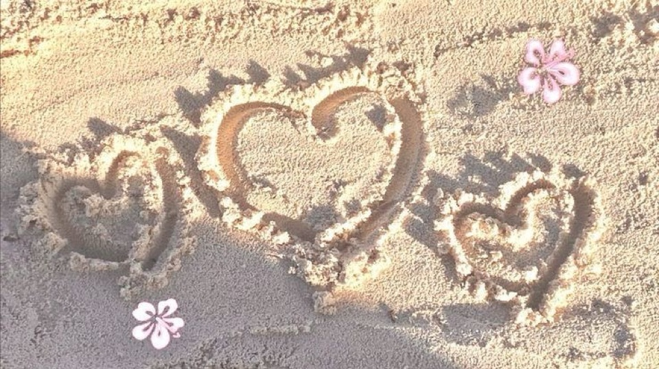 WLW cafe Discord server banner