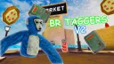 BR TAGGERS V2 banner