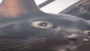/4u banner