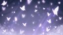 Steamie’s Corner Banner