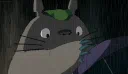 ꒰ 𝙨𝙩𝙤𝙧𝙢 .ᐟ.ᐟ Discord server banner