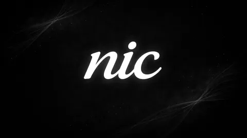 nic Server banner
