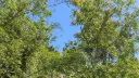 chirps'garden ୭˚. Discord server banner
