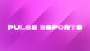 Pulse Esports Banner