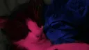 ೃ⁀➷The Strays *+: ღ Discord server banner