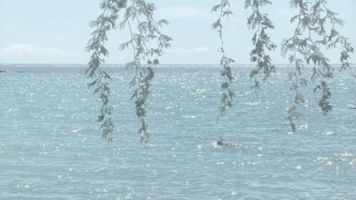 명령하지마라 Discord server banner