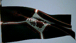 Avengers of Super Earth (116th Exterminator Battalion) banner
